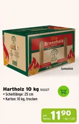 Salzburger Lagerhaus Vita Brennholz Angebot