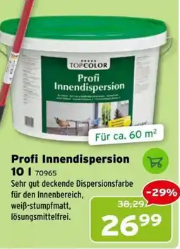 Salzburger Lagerhaus Profi Innendispersion Angebot