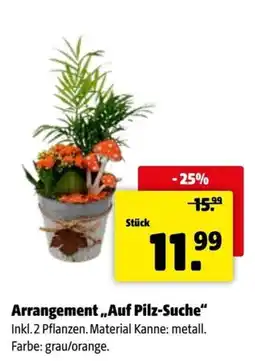 Der Grissemann Arrangement „Auf Pilz-Suche“ Angebot