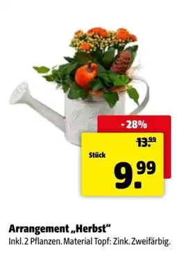 Der Grissemann Arrangement „Herbst“ Angebot