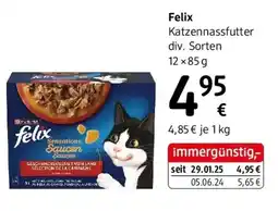 dm Felix Katzen Nassfutter Angebot