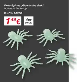 KiK Deko-Spinne „Glow in the dark“ Angebot