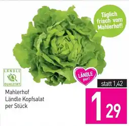 Sutterlüty Mahlerhof Ländle Kopfsalat Angebot