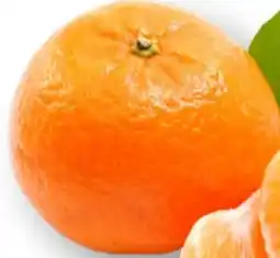 MPreis Mandarinen Nadorcott Angebot