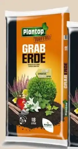 MPreis Plantop Graberde Angebot