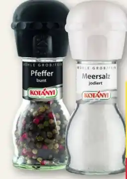 MPreis Kotányi Gewürzmühlen Angebot