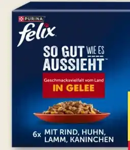 MPreis Purina Felix Katzenfutter Angebot