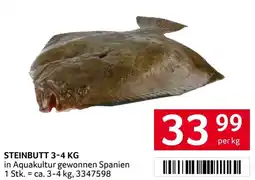 Transgourmet Steinbutt Angebot