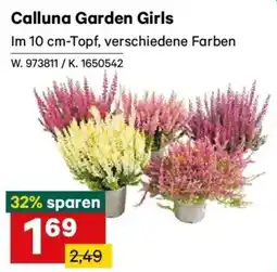 Lagerhaus Calluna Garden Girls Angebot