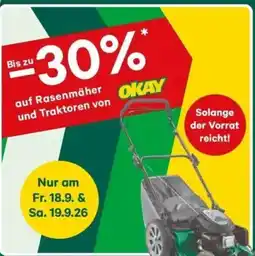 Lagerhaus Rasenmäher und Traktoren von OKAY Angebot