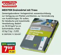 Lagerhaus MEISTER Drainmörtel mit Trass Angebot