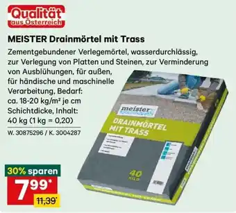 MEISTER Drainmörtel mit Trass