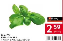 Transgourmet Quality Basilikum KL.1 Angebot