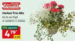 Lagerhaus Herbst-Trio-Mix Angebot