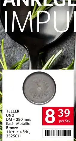 Transgourmet Teller Uno Angebot