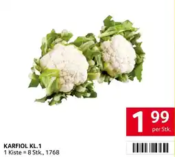 Transgourmet Karfiol KL.1 Angebot