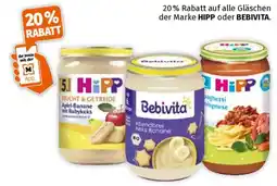 Müller HIPP oder BEBIVITA Angebot