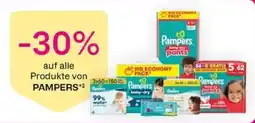 Bipa Pampers baby-dry pants Angebot