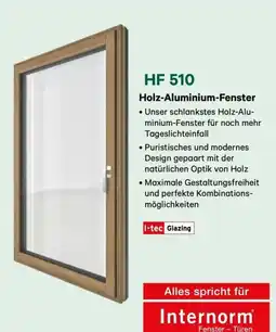 Lagerhaus HF 510 Holz-Aluminium-Fenster Angebot