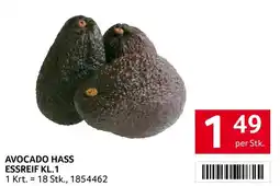 Transgourmet Avocado Hass Angebot