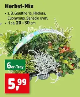 Thomas Philipps Herbst-Mix Angebot