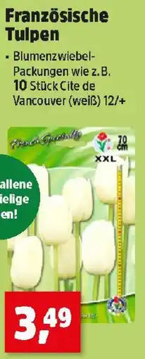 Thomas Philipps Französische Tulpen Angebot