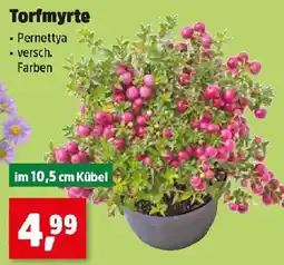 Thomas Philipps Torfmyrte Angebot