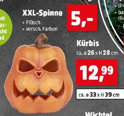 Thomas Philipps Kürbis Angebot