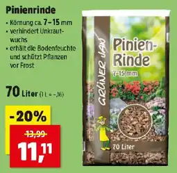 Thomas Philipps Grüner Jan Pinienrinde Angebot