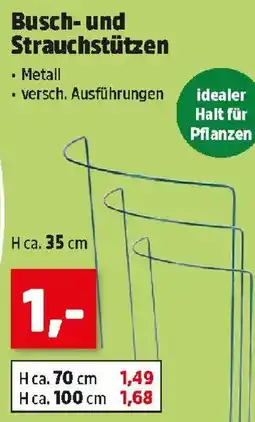 Thomas Philipps Busch- und Strauchstützen Angebot