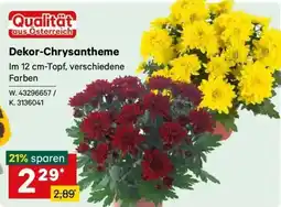 Lagerhaus Qualität aus Österreich Dekor-Chrysantheme Angebot