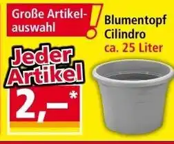Norma Blumentopf Cilindro Angebot