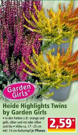 Norma Heide Highlights Twins by Garden Girls Angebot