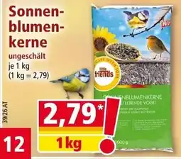 Norma little friends Sonnenblumenkerne Angebot