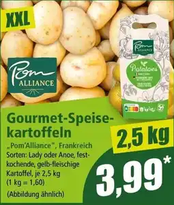 Norma Gourmet-Speisekartoffeln Pom'Alliance Angebot