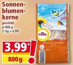 Norma little friends Sonnenblumenkerne geschält Angebot