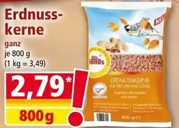 Norma little friends Erdnusskerne Angebot