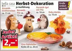 Norma Herbst-Dekoration Angebot