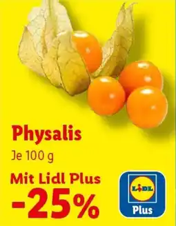 Lidl Physalis Angebot