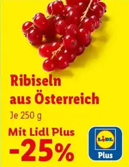Lidl Ribiseln aus Österreich Angebot