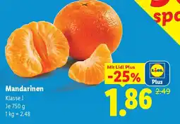 Lidl Mandarinen Angebot