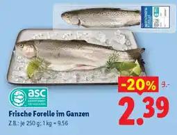 Lidl Frische Forelle im Ganzen Angebot