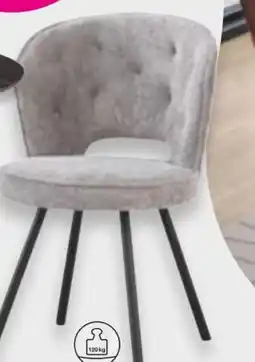 Mömax Stuhl Mina Angebot