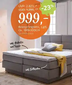XXXLutz Boxspringbett Angebot