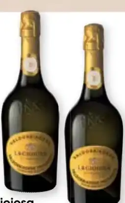 Maximarkt La Gioiosa Prosecco Superiore Valdobbiadene Angebot
