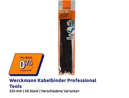 Action Werckmann Kabelbinder Professional Tools Angebot