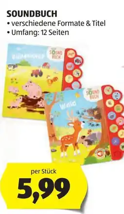 Hofer Soundbuch Angebot