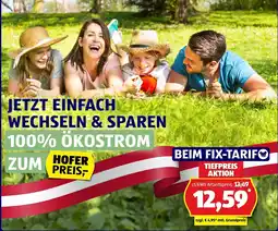 Hofer 100% Ökostrom Angebot