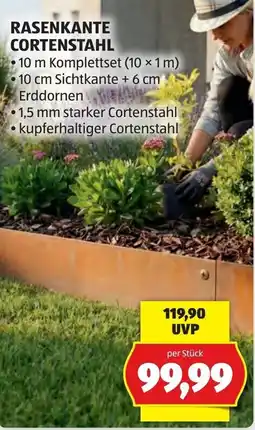 Hofer Rasenkante Cortenstahl Angebot