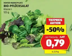 Hofer Bio-Pflücksalat Angebot
